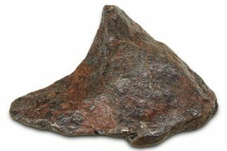 Canyon Diablo Iron Meteorite ( g) - Arizona #381978