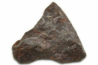 Canyon Diablo Iron Meteorite ( g) - Arizona #382003