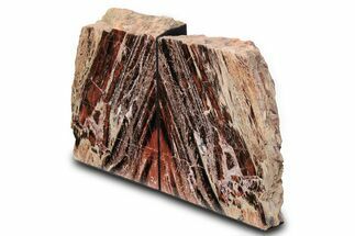 Tall, Arizona Petrified Wood Bookends - Red and Black #382165