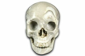 Realistic, Light Coquina Stone Skull #382130