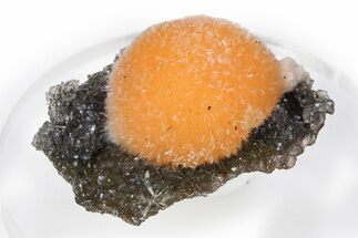 Vibrant Peach Thomsonite on Sparkling Heulandite - India #382276