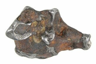 Sericho Pallasite Meteorite ( g) Metal Skeleton #383188
