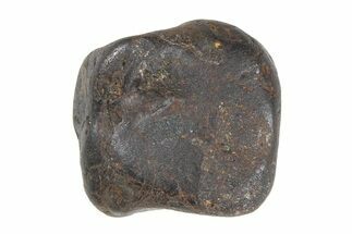 Sericho Pallasite Meteorite ( g) Metal Skeleton #383190