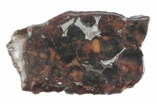 Sericho Pallasite Meteorite ( g) Slice - Kenya #382934