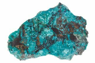 Vibrant Chrysocolla and Shattuckite Slice - Mexico #383733