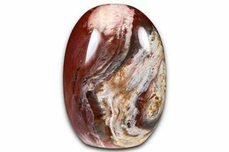 Freestanding, Polished Petrified Wood - Madagascar #384332
