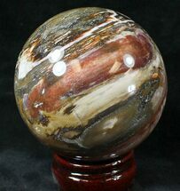 Petrified Wood Spheres For Sale - FossilEra.com