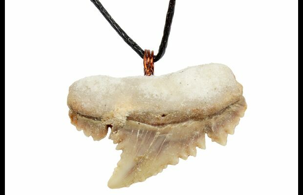 fossil jewellery sale